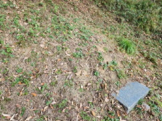 B000310202501300095372.jpg