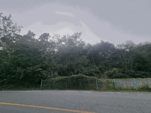 B000310202501300095414.jpg