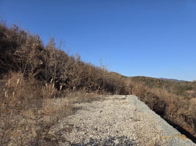 B000310202501300095721.jpg