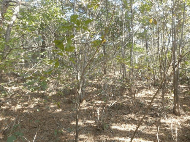 B000310202501300096063.jpg