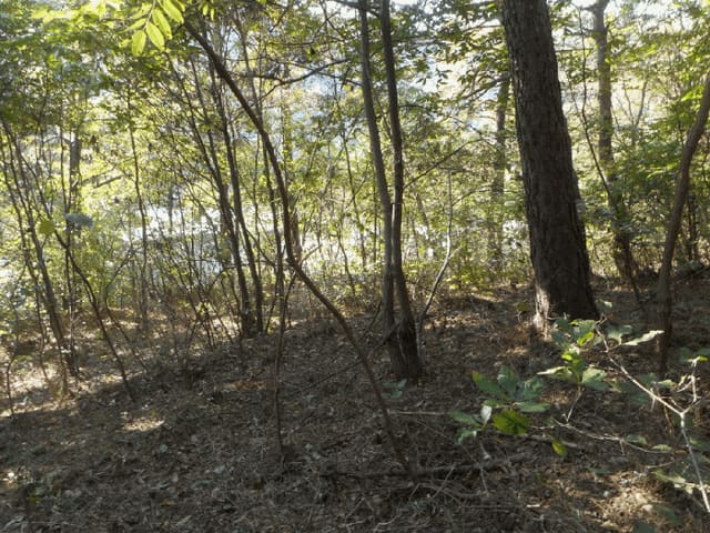 B000310202501300096064.jpg