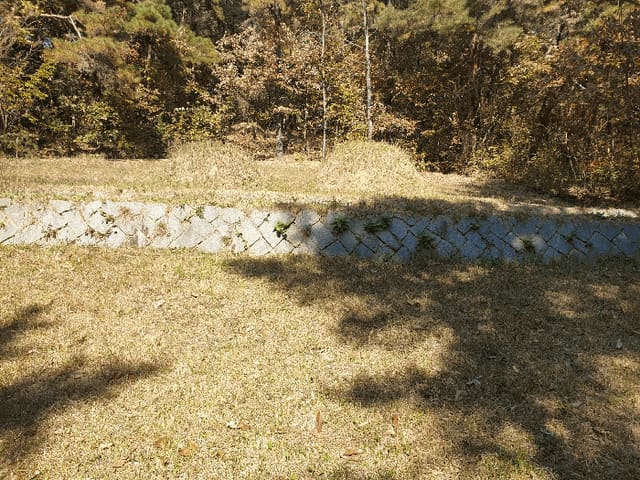 B000310202501300096574.jpg