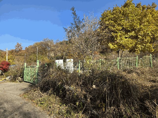 B000310202501300096894.jpg