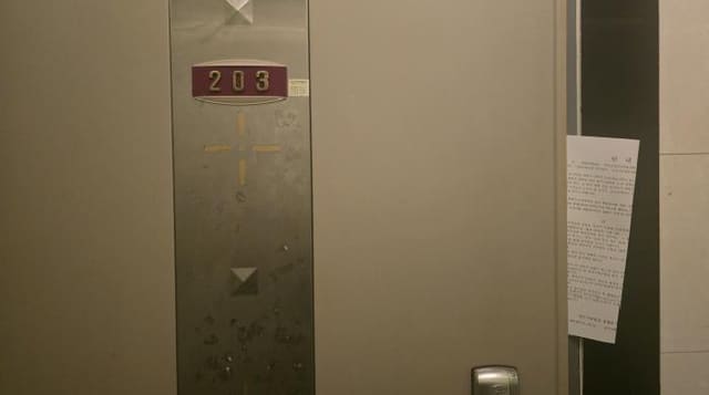B000310202501300097284.jpg