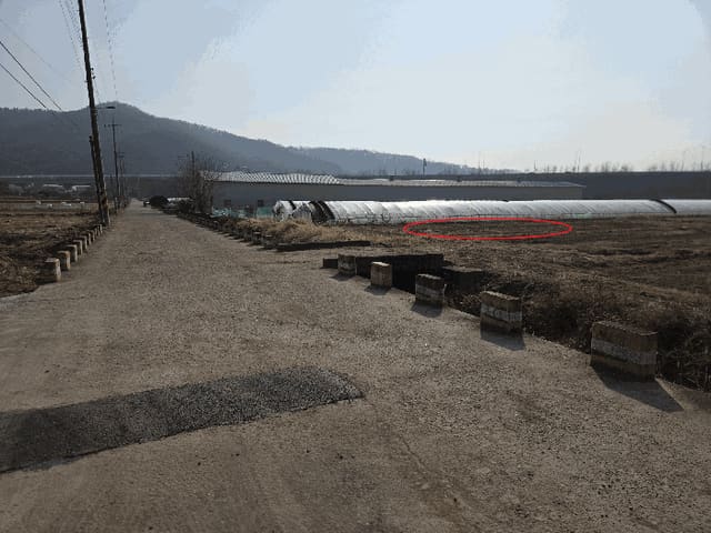B000310202501300098353.jpg