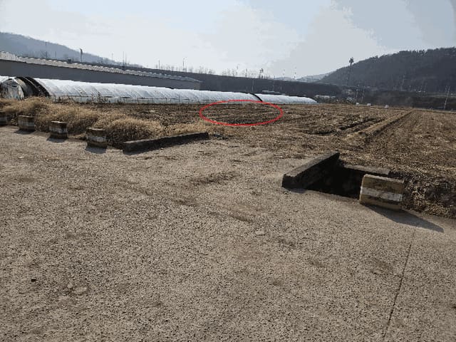 B000310202501300098354.jpg
