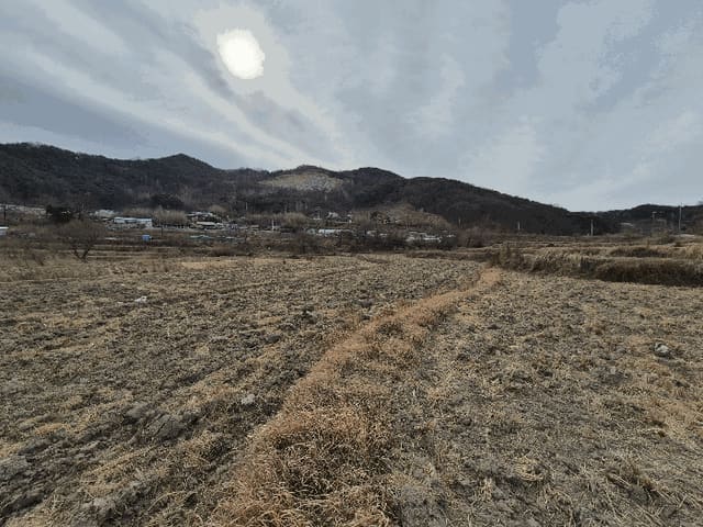 B000310202501300099544.jpg