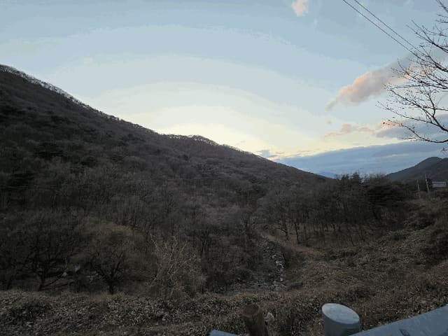 B000310202501300099764.jpg