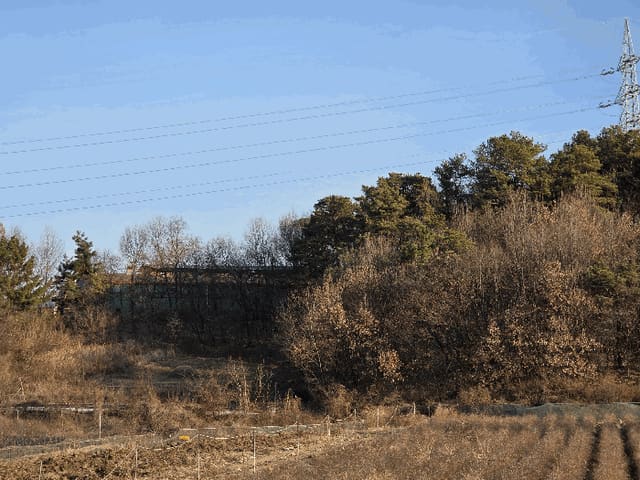 B000310202501300100134.jpg