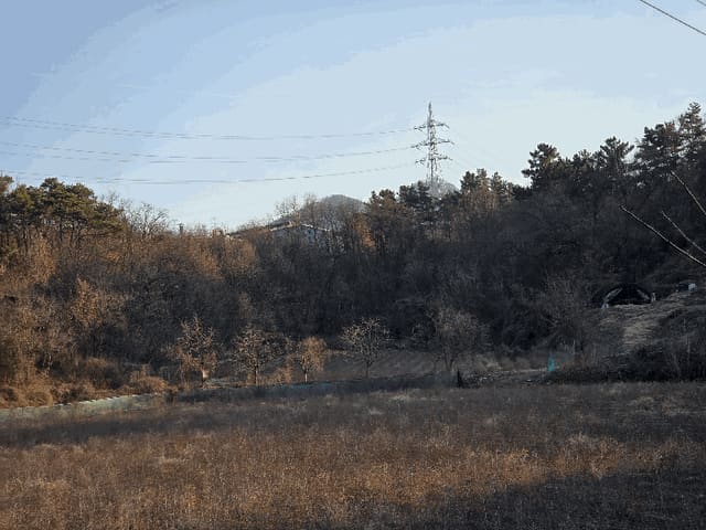 B000310202501300100132.jpg