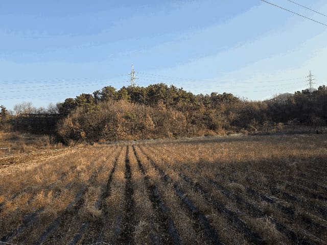 B000310202501300100131.jpg