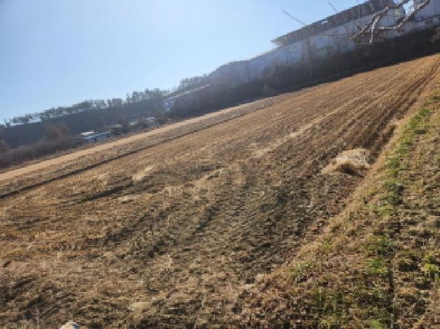 B000310202501300101632.jpg
