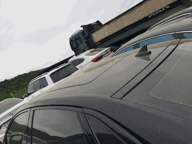 B000310202601301008763.jpg