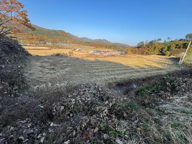 B000311202401300017084.jpg