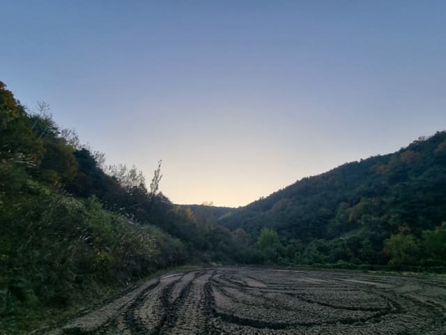 B000311202401300017154.jpg