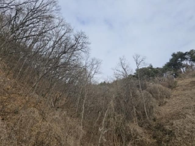 B000311202501300101741.jpg