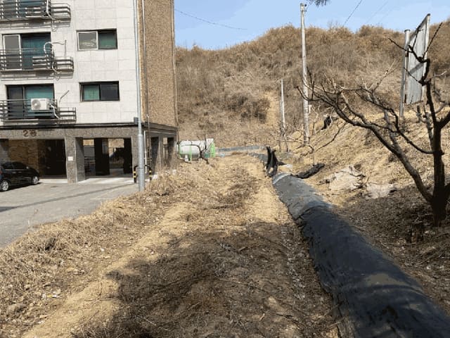 B000311202501300102664.jpg