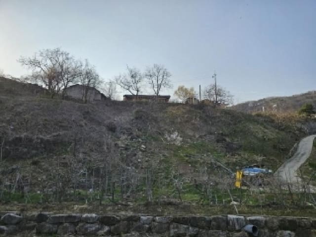 B000311202501300103652.jpg