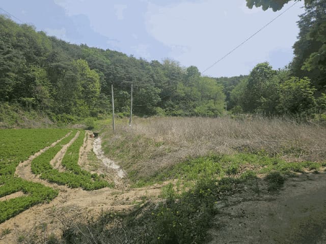 B000311202501300104024.jpg