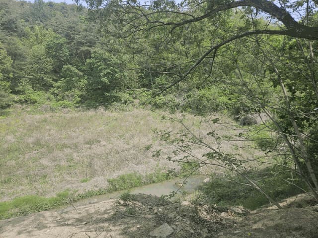 B000311202501300104025.jpg