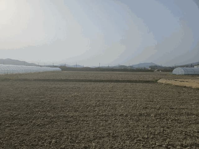 B000311202501300104333.jpg