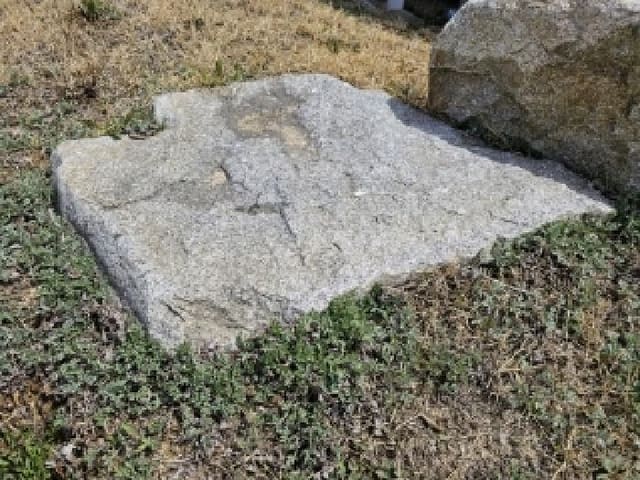 B000311202501300104404.jpg