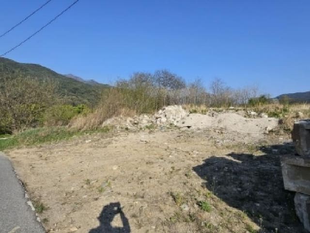 B000311202501300105182.jpg