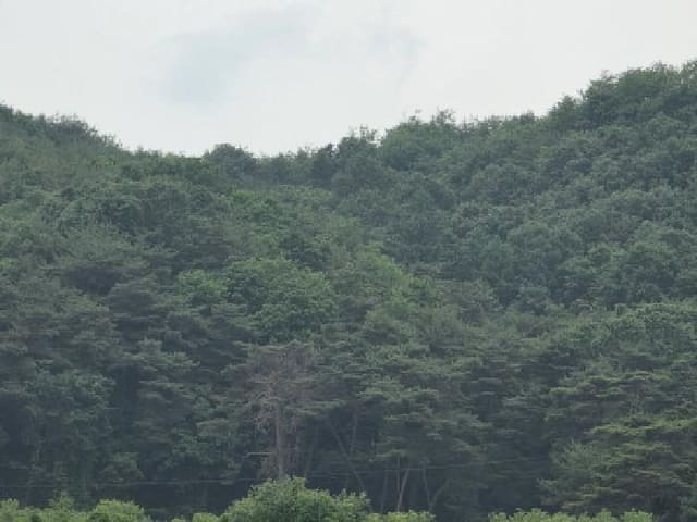 B000311202501300105491.jpg