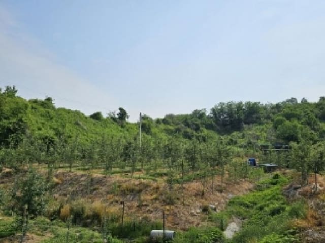 B000311202501300105874.jpg