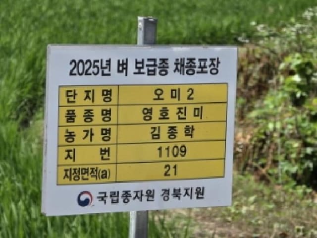 B000311202501300107301.jpg