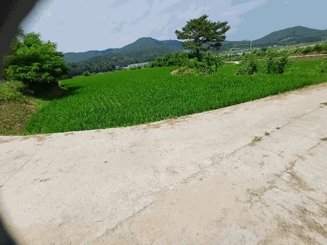 B000311202501300107304.jpg