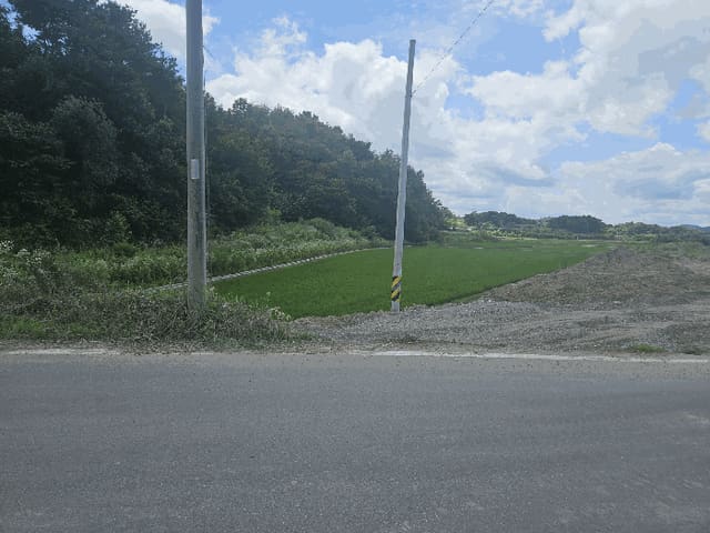 B000311202501300107474.jpg