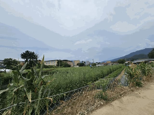 B000311202501300108224.jpg