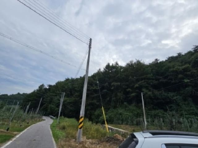 B000311202501300110541.jpg