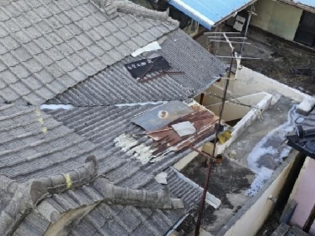 B000311202501301002351.jpg