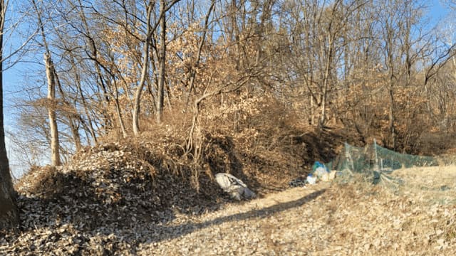 B000311202501301002404.jpg