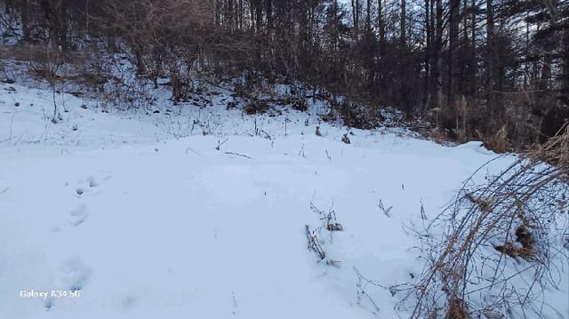 B000311202501301002562.jpg