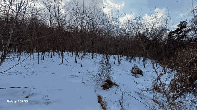 B000311202501301002564.jpg