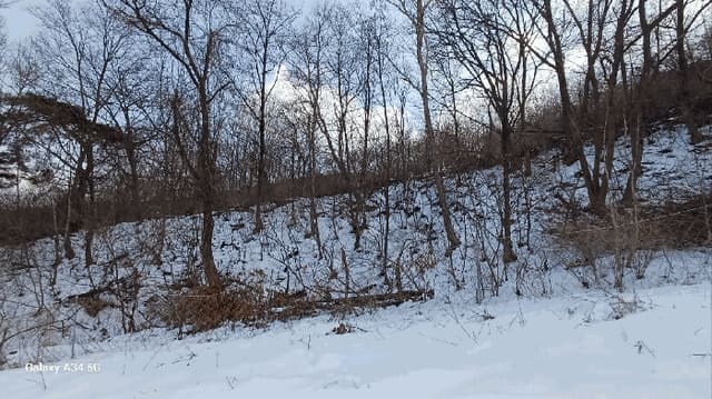 B000311202501301002563.jpg