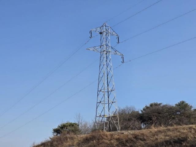 B000311202501301002663.jpg