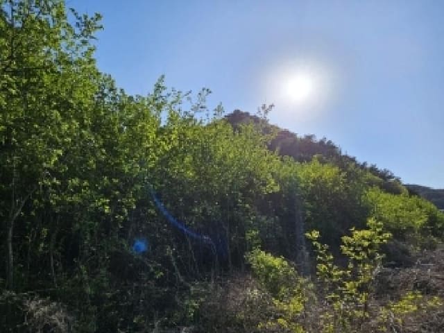 B000311202501301002801.jpg