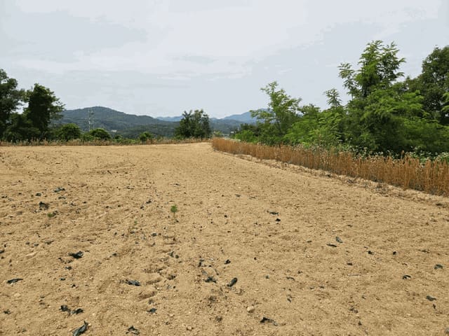 B000311202501301003004.jpg