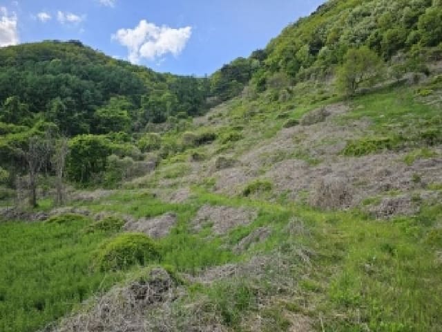 B000311202501301003355.jpg