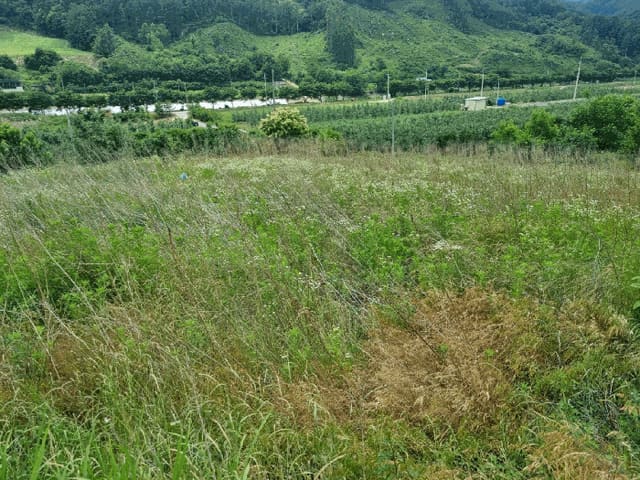 B000311202501301003844.jpg