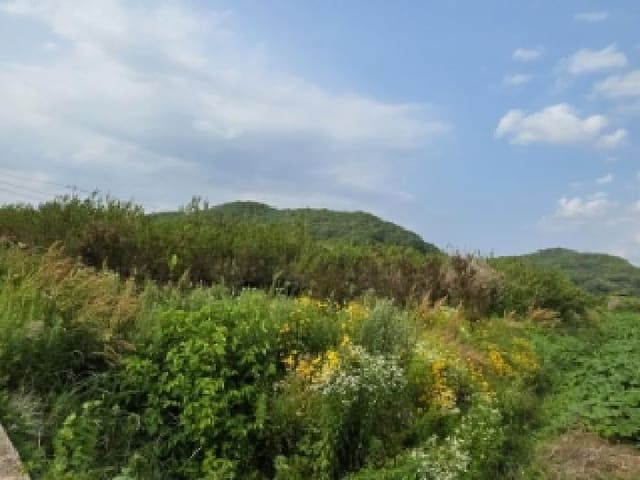 B000311202501301003882.jpg