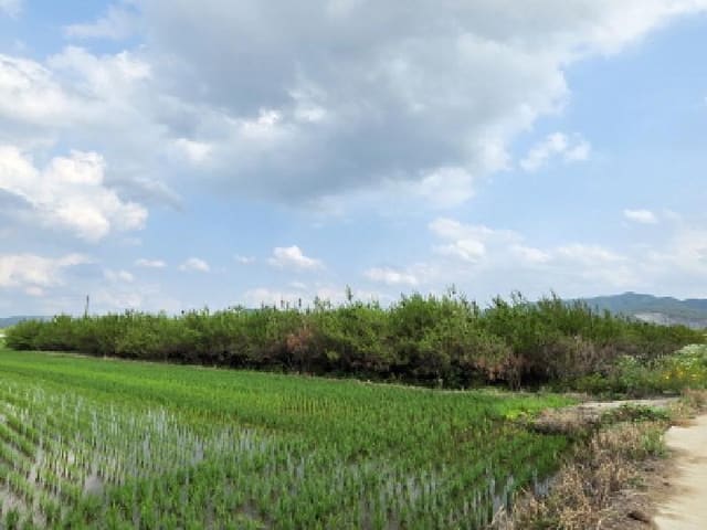 B000311202501301003881.jpg