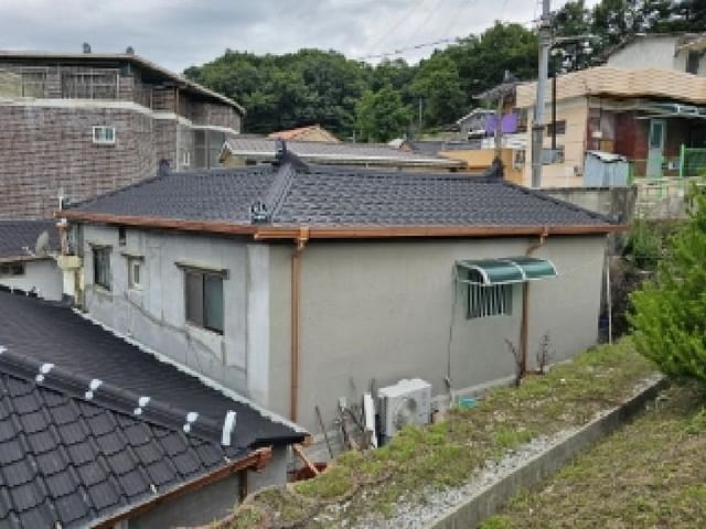 B000311202501301003961.jpg