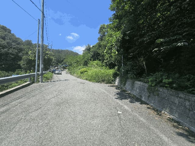B000311202501301004014.jpg