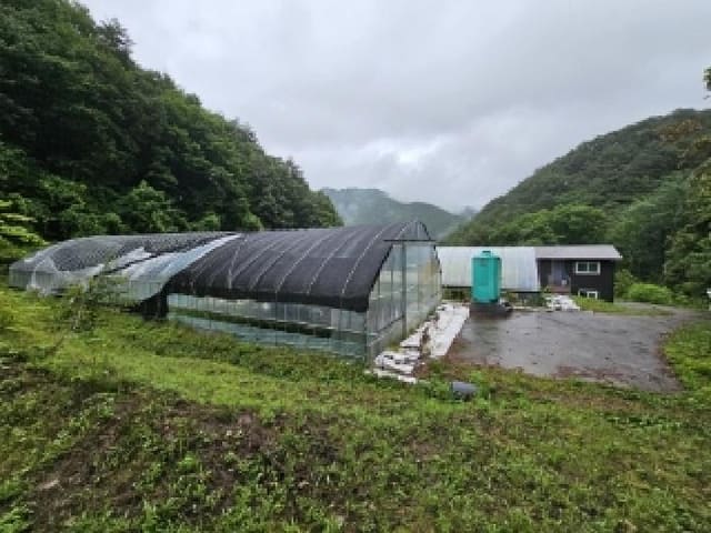 B000311202501301004041.jpg