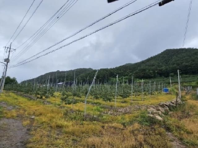 B000311202501301004133.jpg
